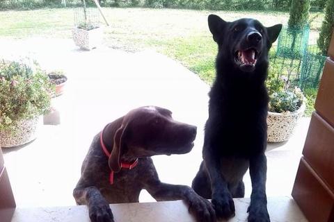 Chicca (aka Enrica) con Black